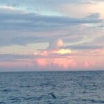 【中学生から独学でフランス語するとよい３つの理由】