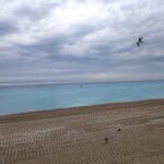 【勉強したフランス語の内容をよく覚えるための４つの記憶術】