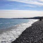 【フランス語の動詞を覚えるためにあえて参考書を復習することがおすすめです】