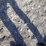 【フランス語会話と自信と開き直り】