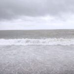 【(フランス語復習まとめ)いわゆる~を表すときの冠詞はleなのかlesなのかについてわかりやすく】